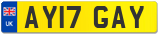 AY17 GAY