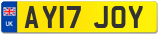 AY17 JOY