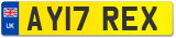 AY17 REX