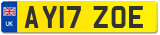 AY17 ZOE