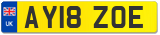 AY18 ZOE