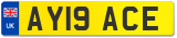 AY19 ACE