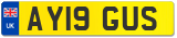 AY19 GUS