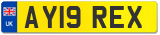 AY19 REX