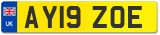AY19 ZOE