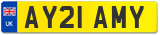 AY21 AMY