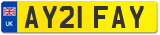 AY21 FAY
