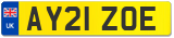 AY21 ZOE