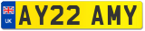 AY22 AMY