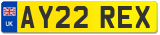 AY22 REX