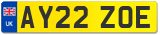 AY22 ZOE