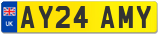 AY24 AMY