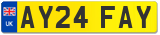 AY24 FAY