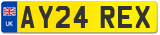 AY24 REX