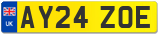 AY24 ZOE