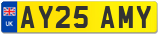 AY25 AMY