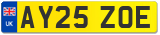 AY25 ZOE