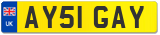 AY51 GAY