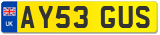 AY53 GUS