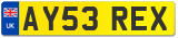 AY53 REX