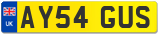 AY54 GUS