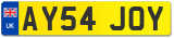 AY54 JOY