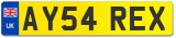 AY54 REX