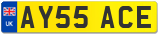 AY55 ACE