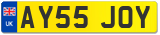 AY55 JOY