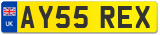 AY55 REX