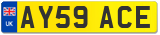 AY59 ACE