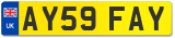 AY59 FAY