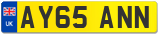 AY65 ANN