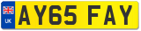 AY65 FAY