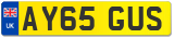 AY65 GUS