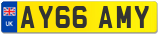 AY66 AMY