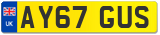 AY67 GUS