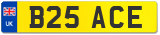 B25 ACE
