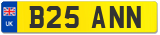 B25 ANN
