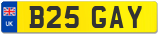 B25 GAY