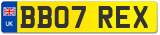 BB07 REX