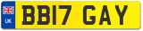 BB17 GAY