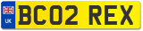 BC02 REX