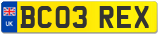 BC03 REX