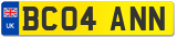 BC04 ANN