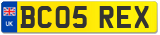 BC05 REX