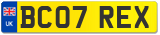 BC07 REX