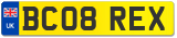 BC08 REX