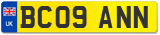 BC09 ANN