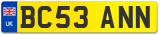 BC53 ANN